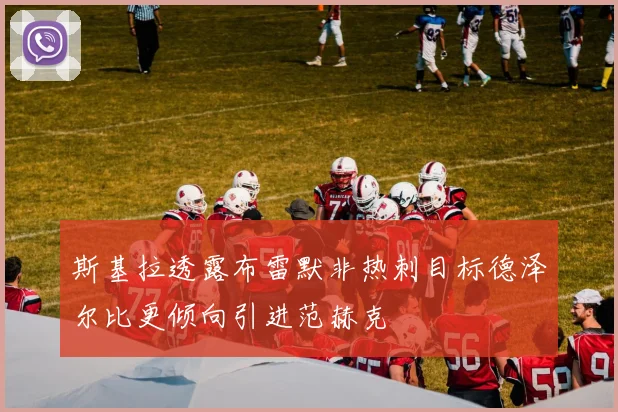 斯基拉透露布雷默非热刺目标德泽尔比更倾向引进范赫克